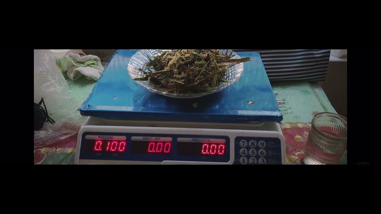 Aprenda a determinar a matéria seca da silagem na fazenda!