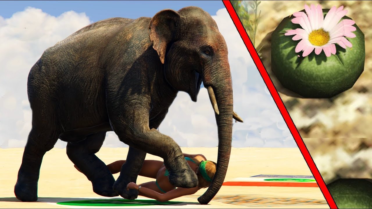 GTA5 : NEW EASTER EGG - PLAY AS AN ELEPHANT