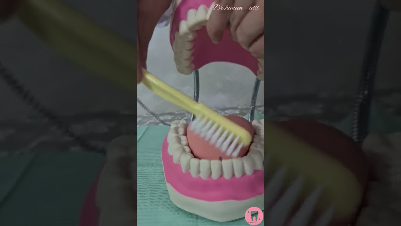 الطريقة الصحيحة لتنظيف الأسنان / تفريش الأسنان بطريقة سليمة