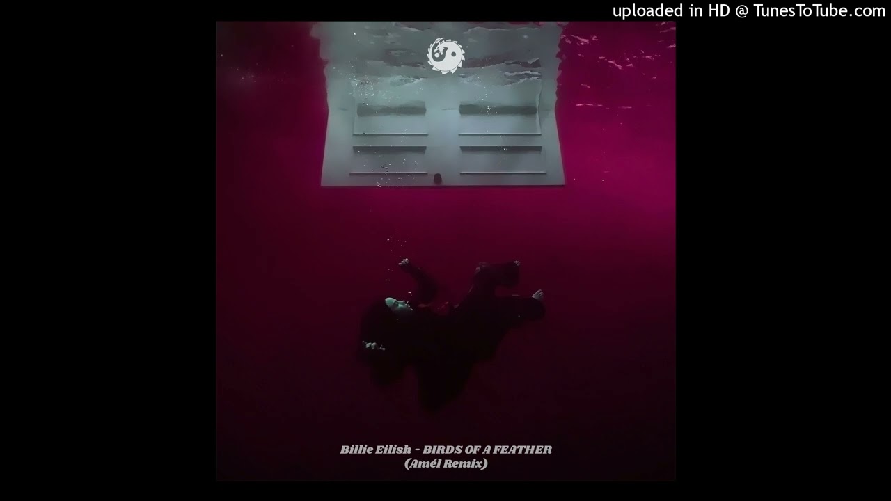 Billie Eilish - Birds Of A Feather (Amél Remix) Extended Mix Edit DragonMusix