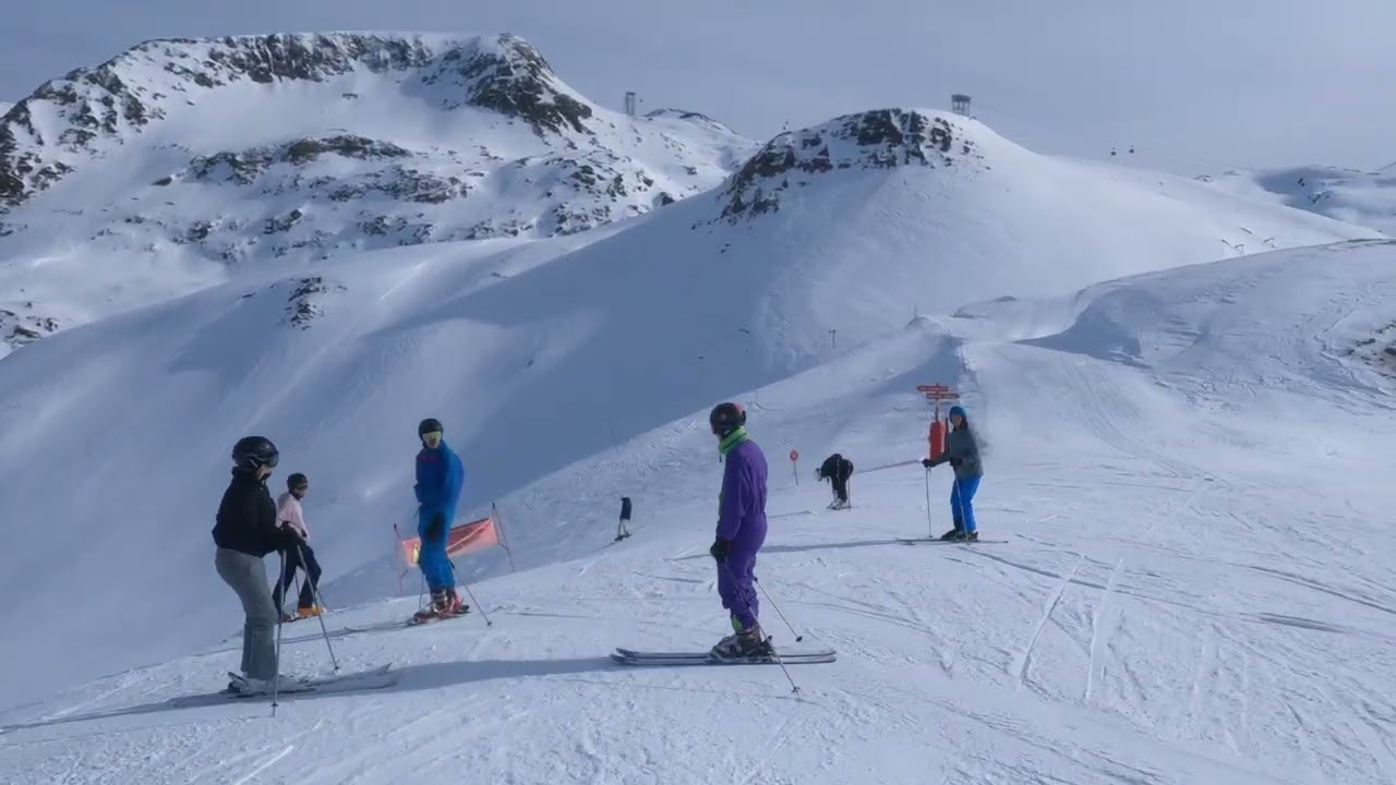 Alps France/ skiing resort les 2 alpes :  sector  fee , toura, diable /alps france.....