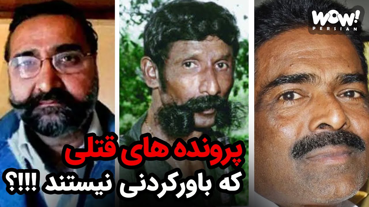 پرونده های قتلی که باورکردنی نیستند !؟