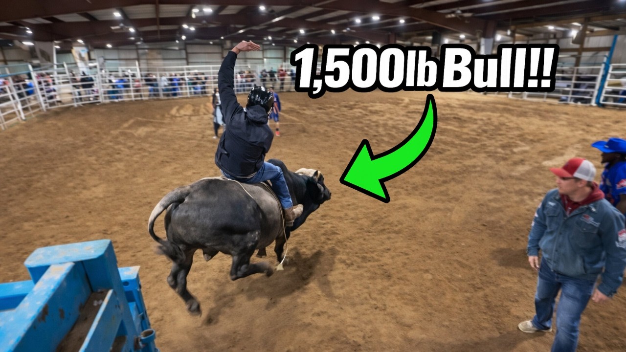 He Road a Bull!