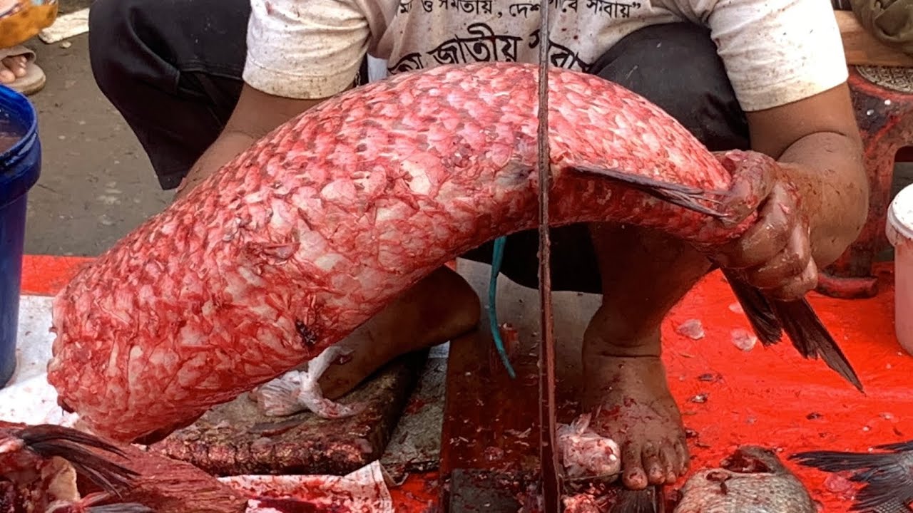 I never seen ll amazing big Gresscarp fish cutting live skills by expert fish cutter in Fishmarket 