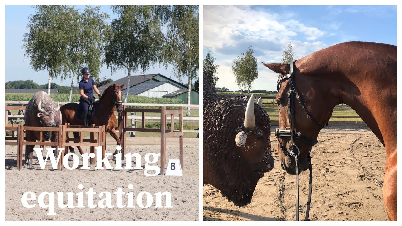 Snuitable days, trainingsweekend met waroda