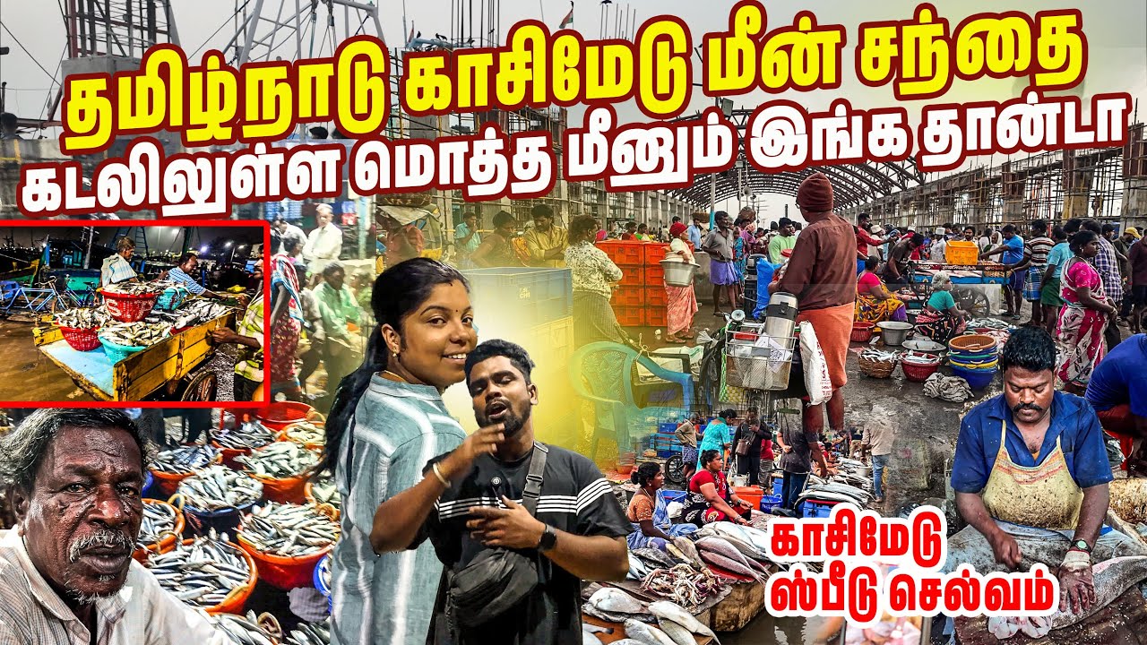 குறைந்த விலையில் மீன்களை அள்ளும் தமிழ்நாட்டு மக்கள்😵| kasimedu | Chennai | #jesivlogs