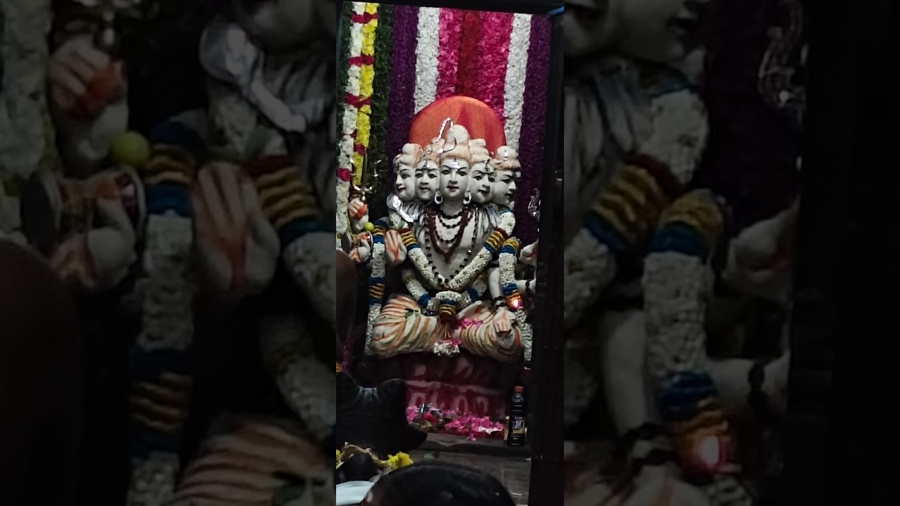 சிவராத்திரி சிவ தரிசனம் சிவாய நம
