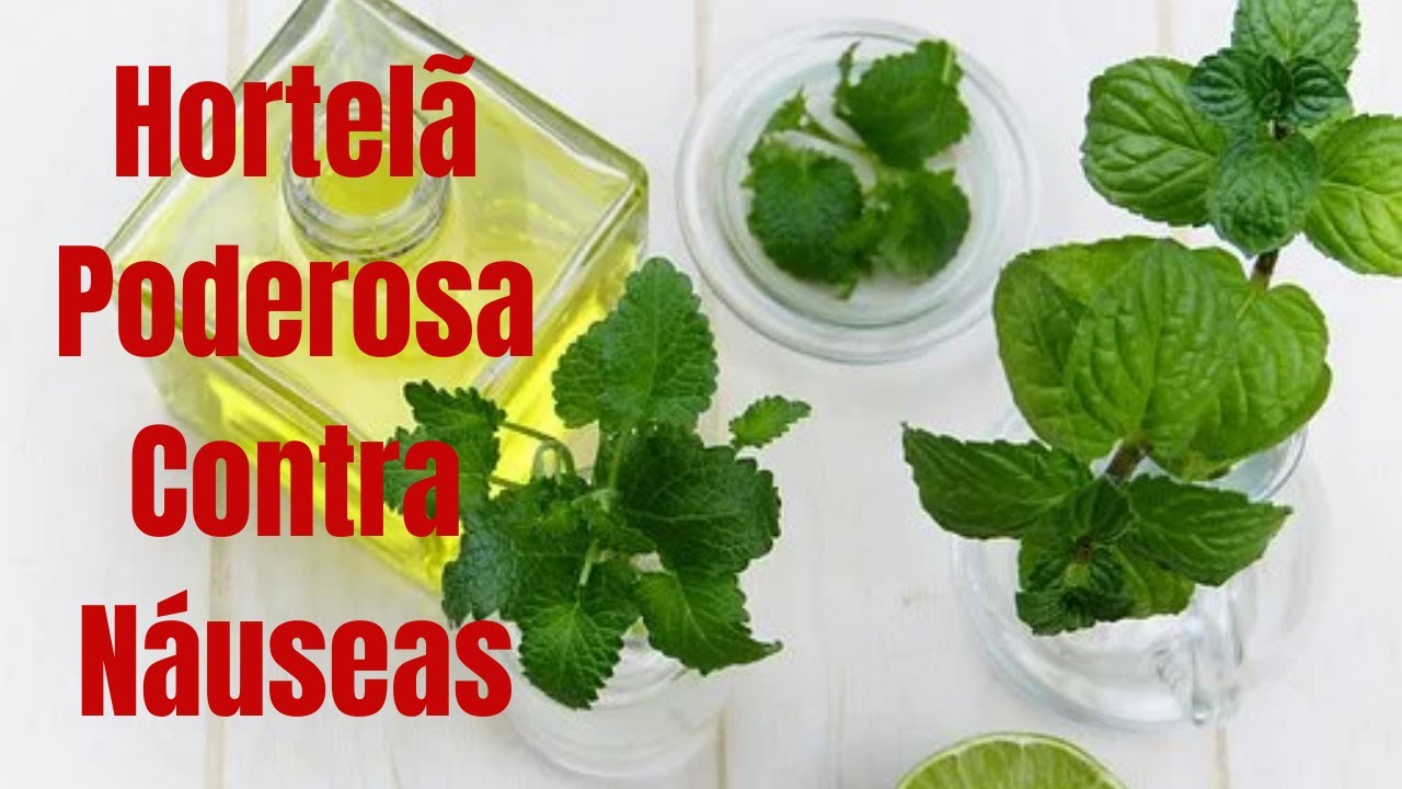 Hortel&atilde; Poderosa Contra N&aacute;useas | Ch&aacute; de Hortel&atilde; e Seus Benef&iacute;cios.