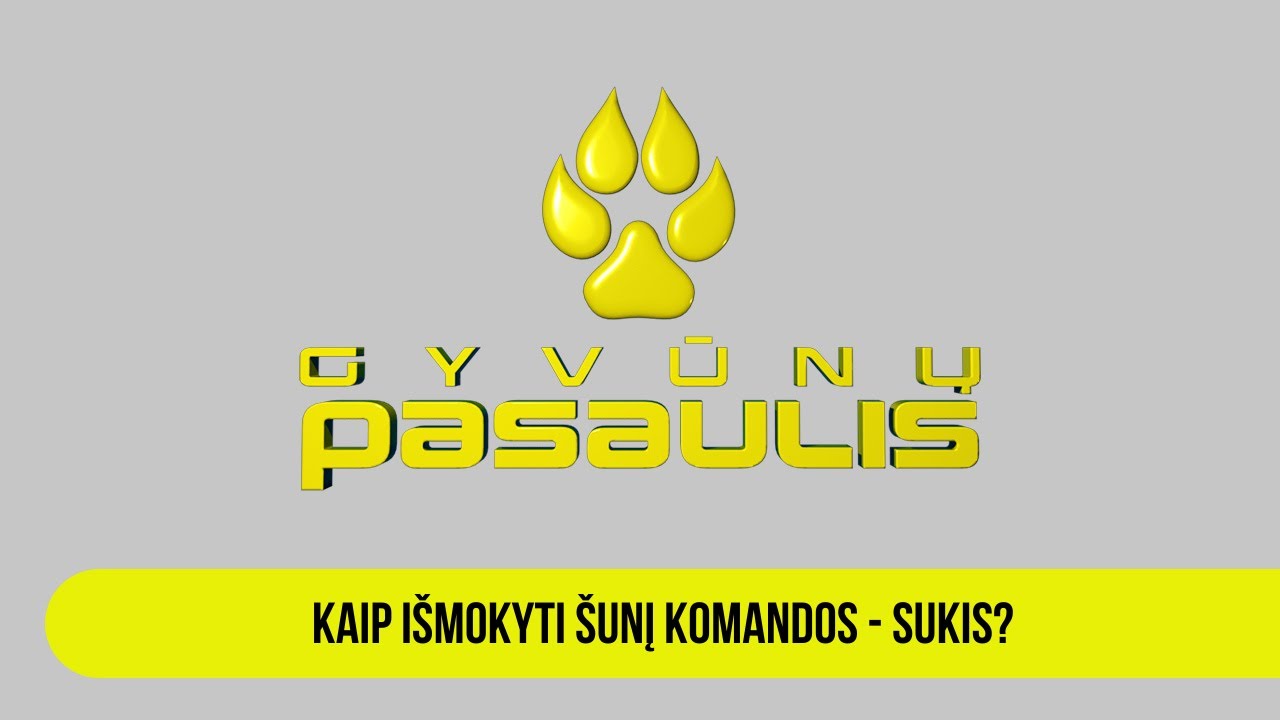 Kaip išmokyti šunį komandos - sukis?