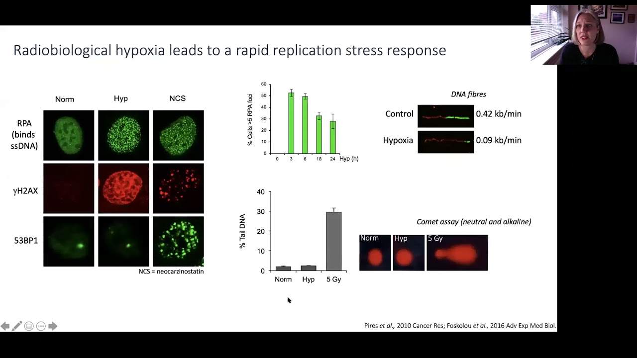 Ester Hammond: Targeting the biological response to radiobiological hypoxia.