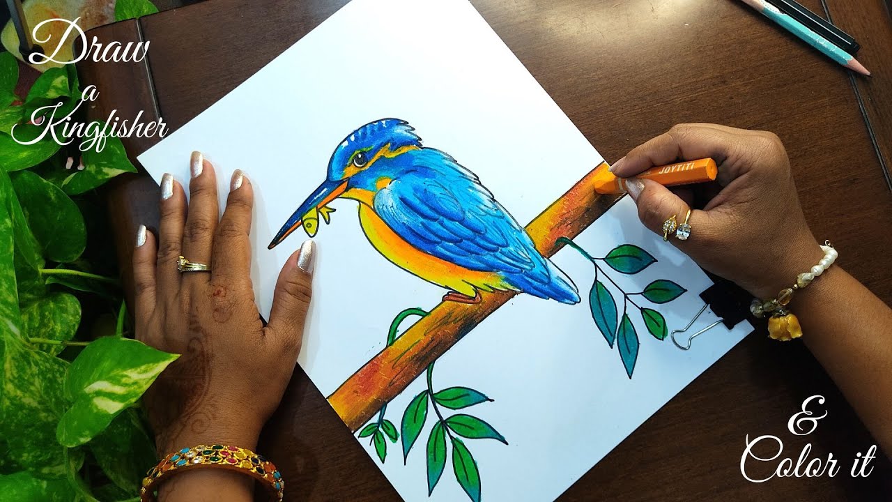 how to draw kingfisher | draw a kingfisher | kingfisher drawing step by step | মাছরাঙা আঁকা