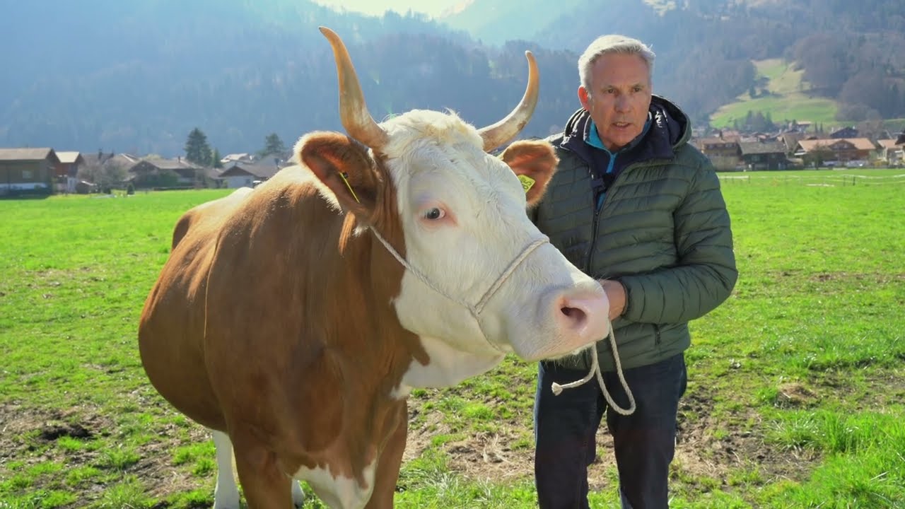 Adrian Amstutz zur neuesten Schlaumeierei aus Bundesbern