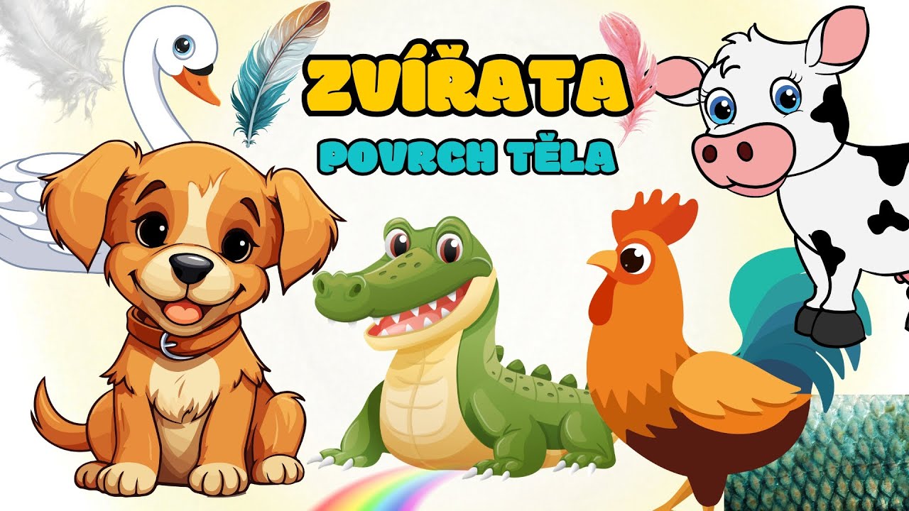 🐷 ZV&Iacute;ŘATA - co m&aacute; kdo? Srst, peř&iacute;, &scaron;upiny 🐍 Z&aacute;bavn&eacute; vzděl&aacute;vac&iacute; video pro děti | Kv&iacute;z o zv&iacute;řatech ⭐️