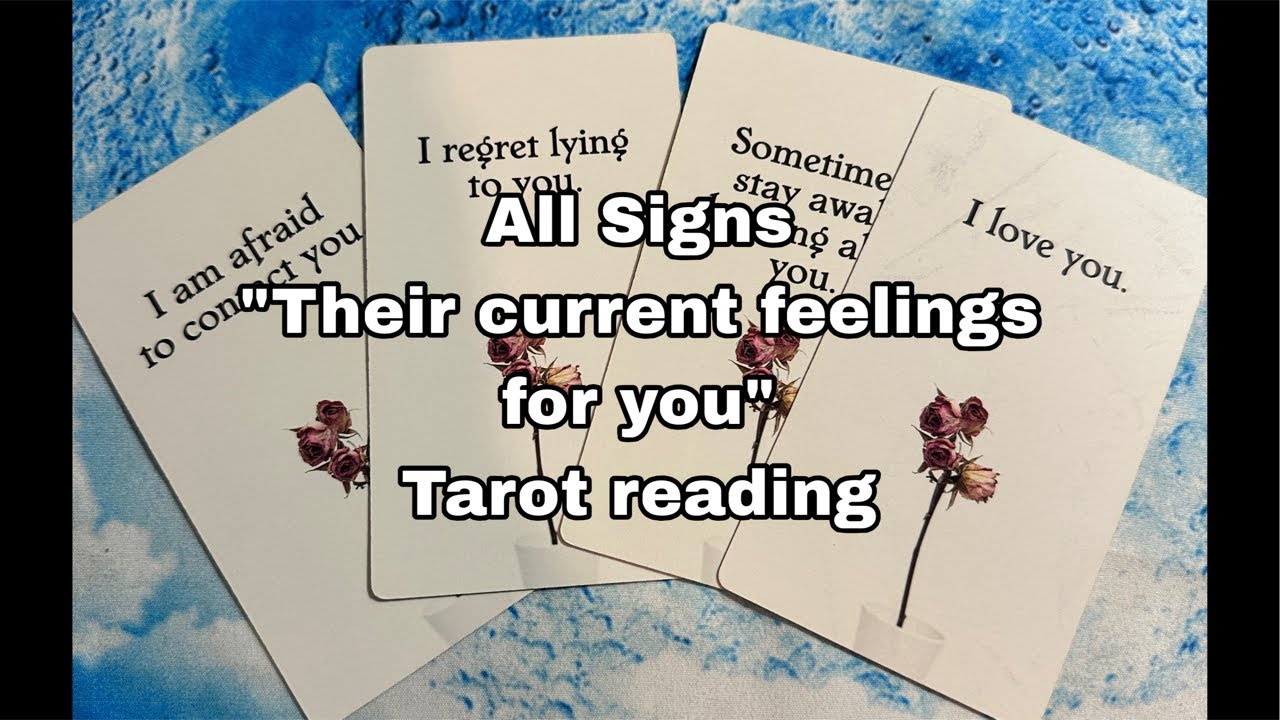 All signs ”Their current feelings for you” tarot reading
