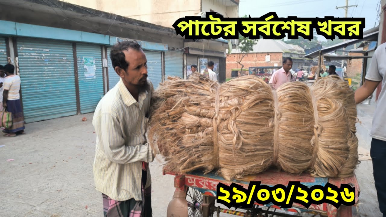 29.03.2026 পা&zwnj;টের সর্বশেষ খবর | Jute Price Today | pater bazar| Faridpur.