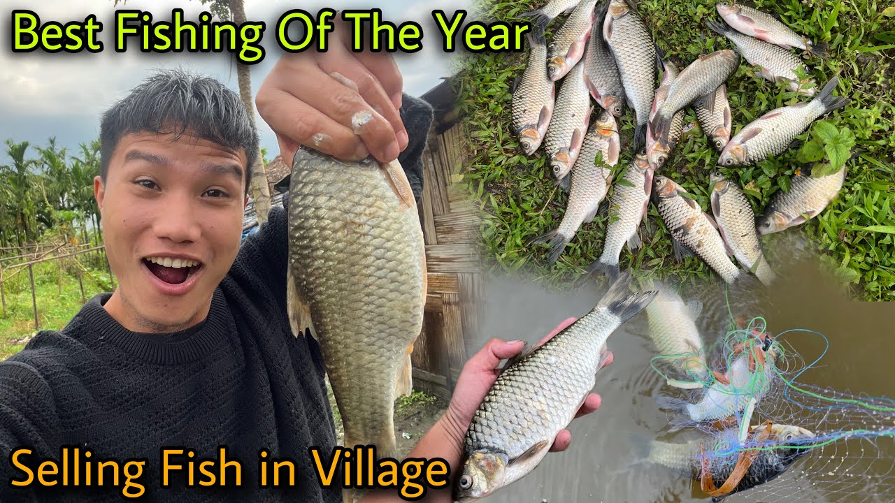 Best Fishing Experience in Village || Catching and Selling Fish in Village || Rainy Season Fishing