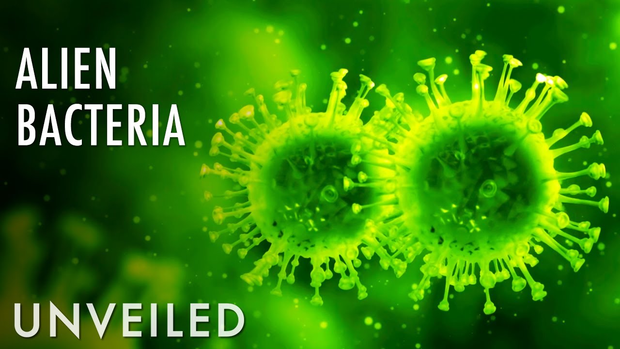 What If an Alien Pandemic Arrived on Earth? | Unveiled