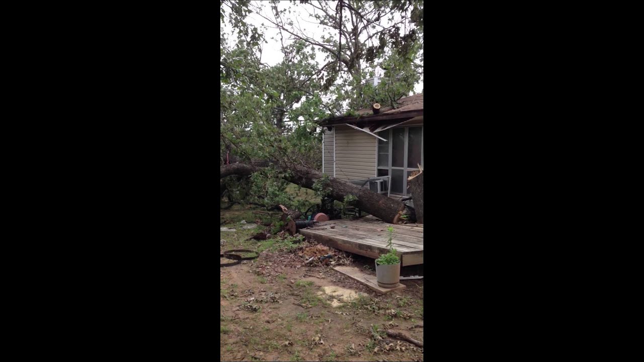 Dictson Tree Removal - Removal of storm damaged tree