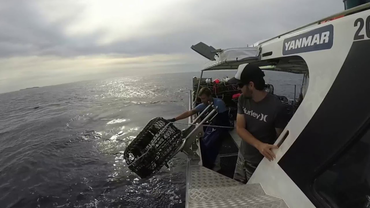 cray fishing - season 16/17