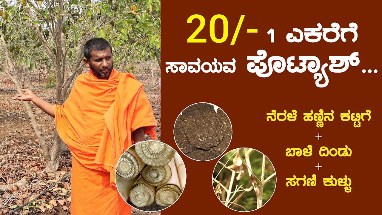 Savitanandanath Swamiji | ಪೊಟಾಷ್  ತಯಾರಿಸುವ ವಿಧಾನ