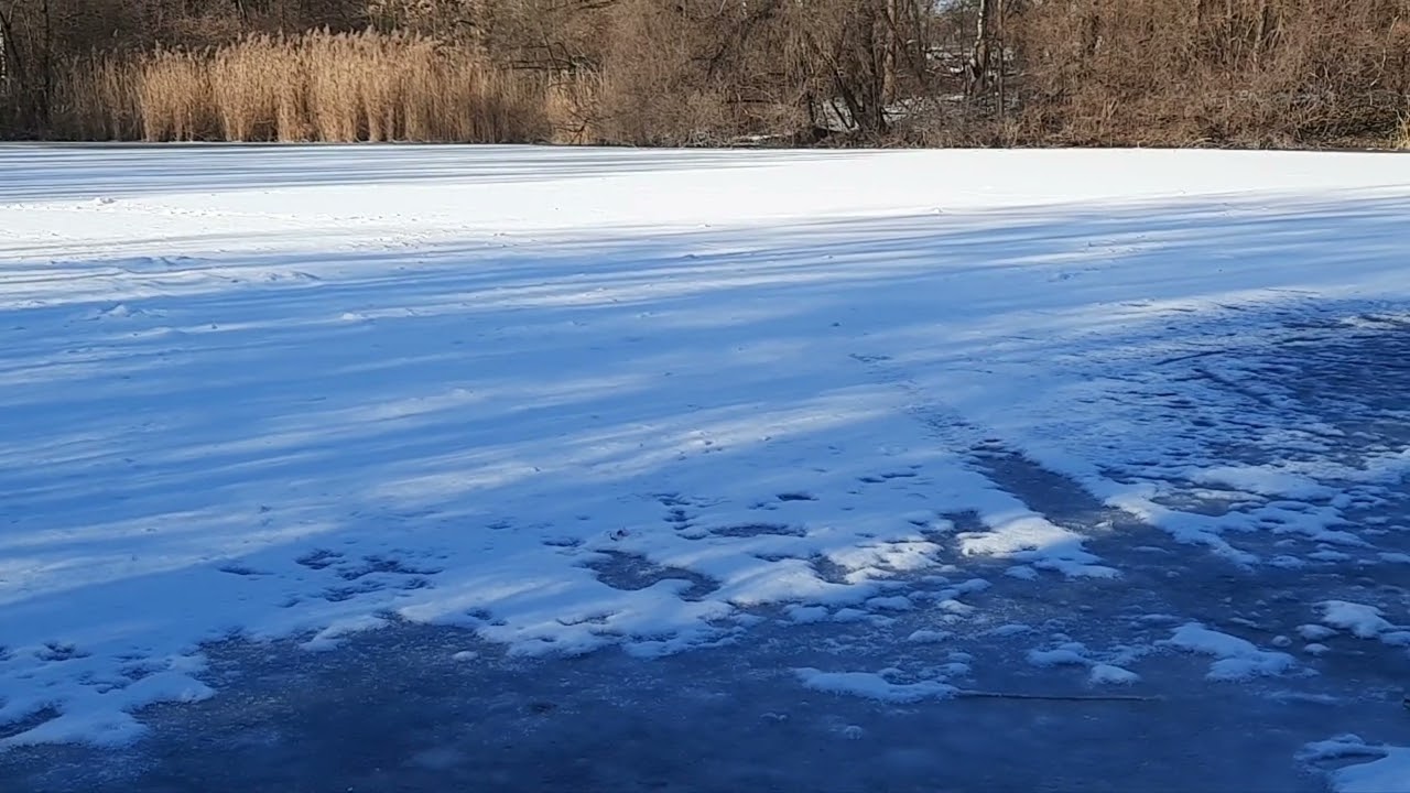 10. Januar 2025. Die Enten im Winter (2). ❄️🦆❄️ The Ducks in the Winter (2).