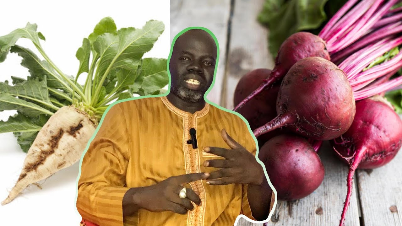 Les vertus de La betterave - Pr Ousmane Ndiaye - SAMA XALAAT TV