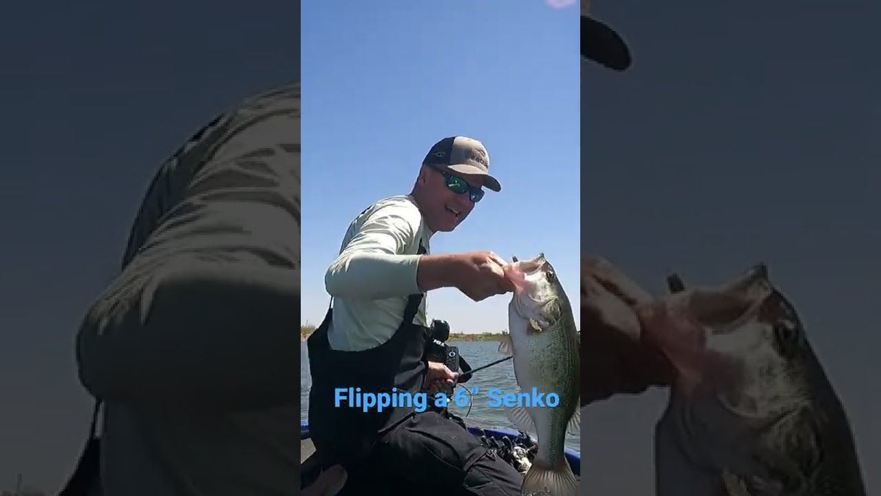 Flipping a 6&rdquo; Senko