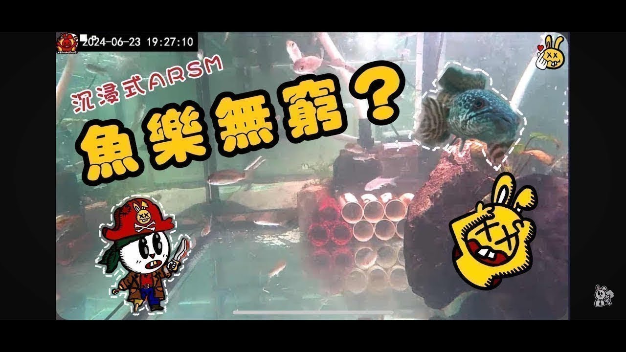 魚樂無窮の周圍都係魚🥶🐟🐠🐡🎏🍤