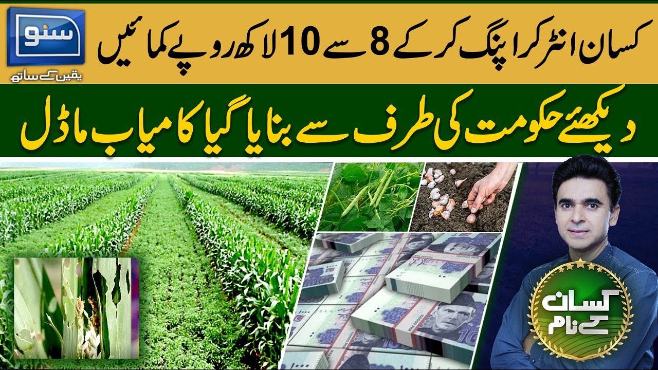 Farmers earn 8 to 10 lakh rupees by intercropping | Kisan Kay Naam | 17 Dec 2022 | Suno tv