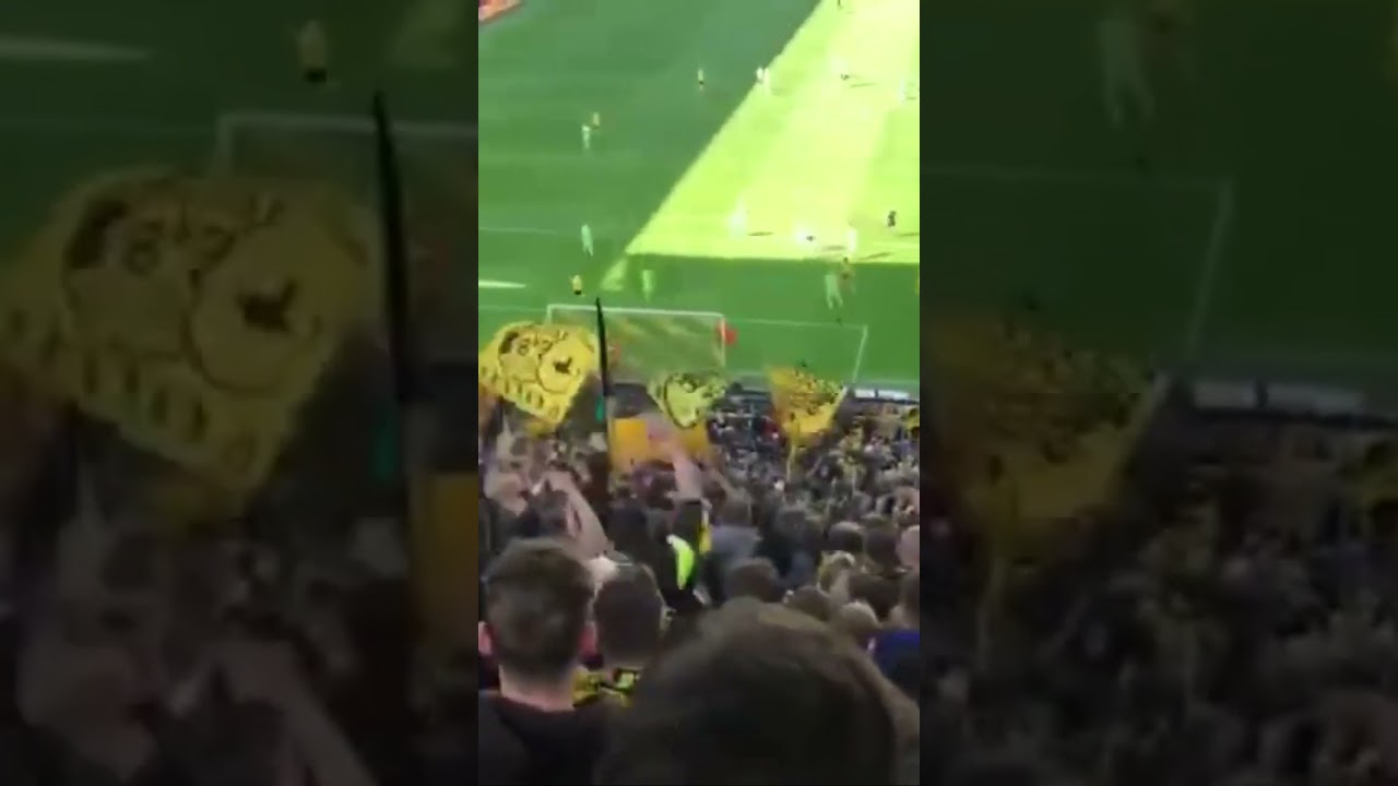 BVB Torjubel #shorts