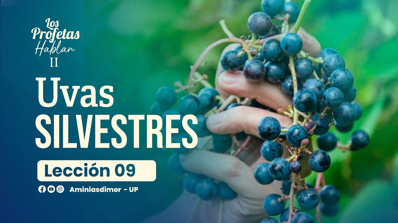 🔴📖 𝗟𝗘𝗖𝗖𝗜𝗢́𝗡 𝗡° 𝟬𝟵: “𝗨𝗩𝗔𝗦 𝗦𝗜𝗟𝗩𝗘𝗦𝗧𝗥𝗘𝗦” 🍇