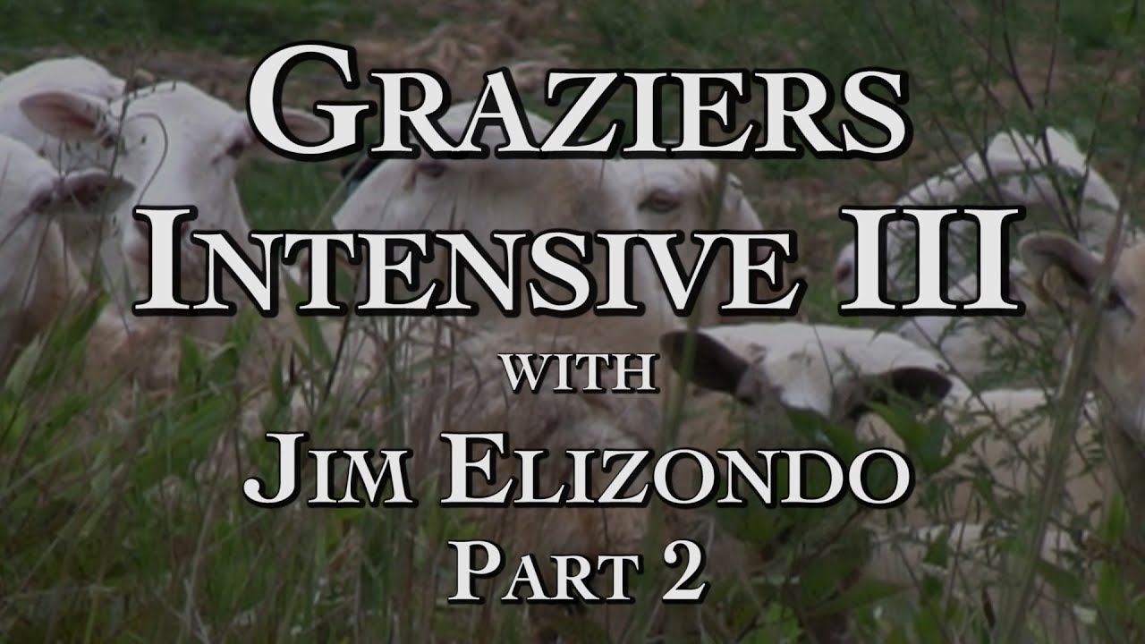 Graziers Intensive III part 2
