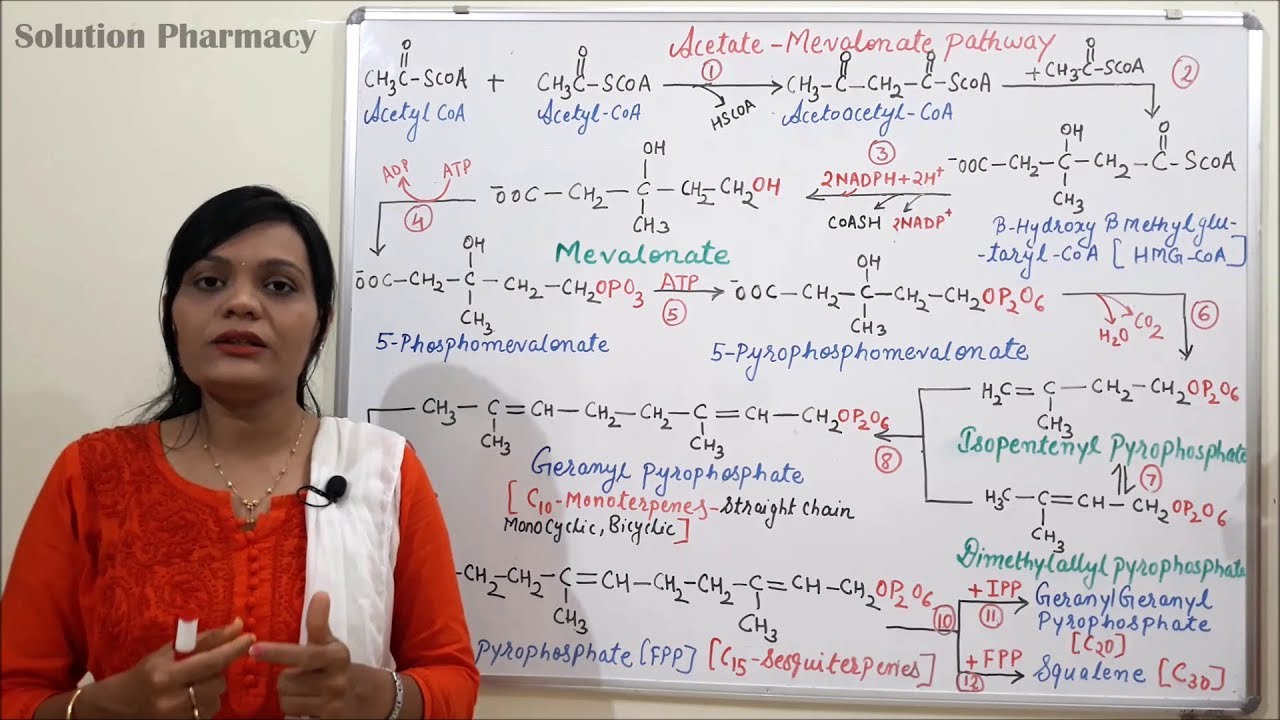 Class (06)= Acetate Pathway (Part 03) | Mevalonic acid Pathway | Mevalonate Pathway Steps & Reaction