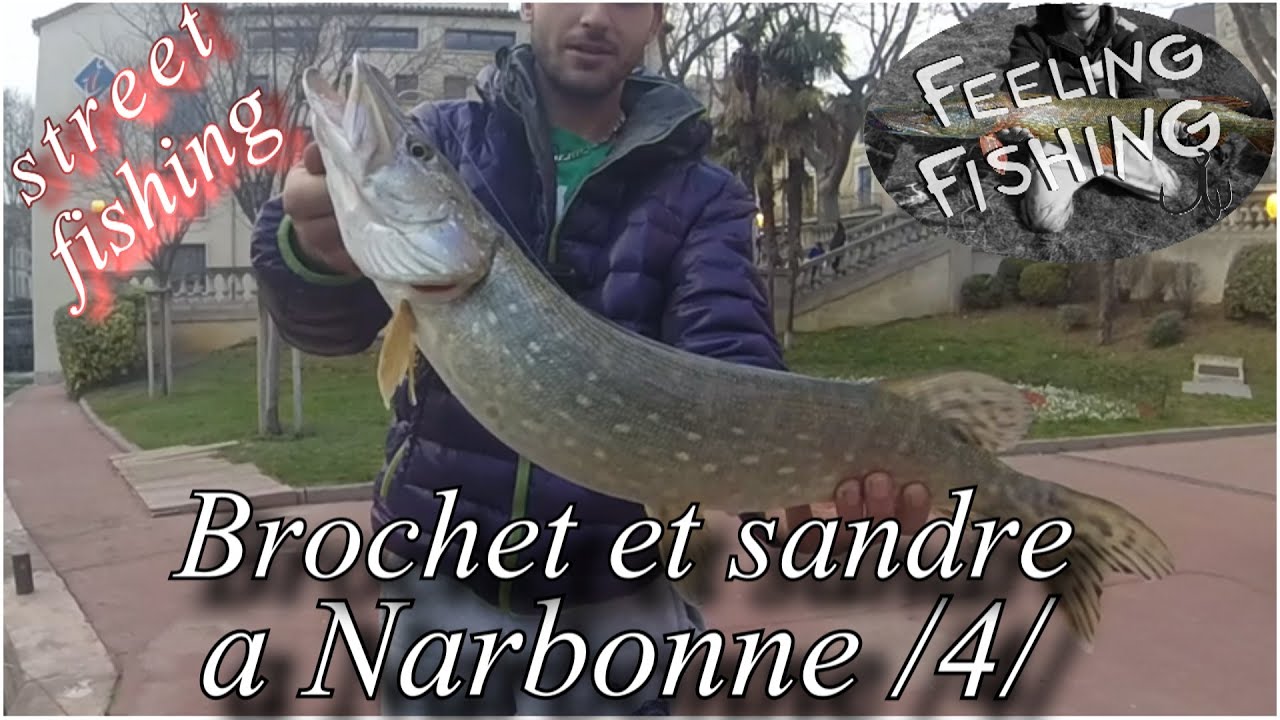 Peche du brochet et du sandre en street fishing a Narbonne partie 4 - Gopro HD