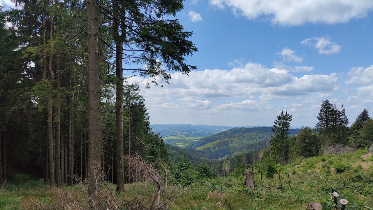 Wanderung von Silbach zum Kahlen Asten, 16.07.2023