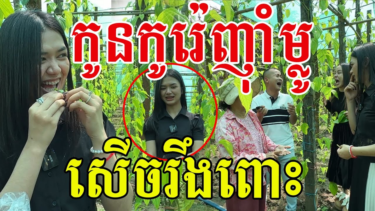 នាំអ៊ីអ៊ីមកញ៉ាំម្លូម្ដង សើចពេញចម្ការ