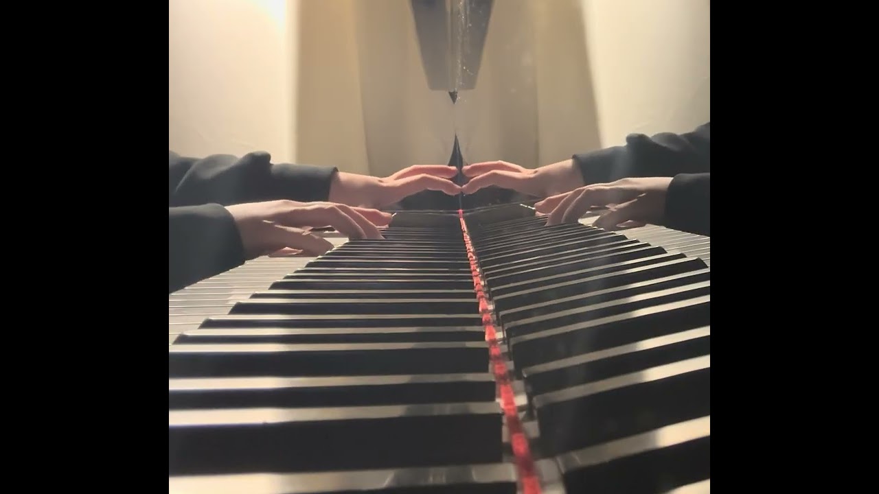 [독일가곡]R. Schumann - Nun hast du mir den ersten Schmerz..op.42 no.8 in dm(피아노반주•piano accompaniment)