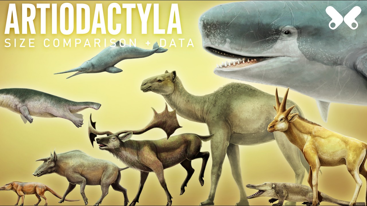 ARTIODACTYLA. Prehistoric deers, whales and more . Size comparison