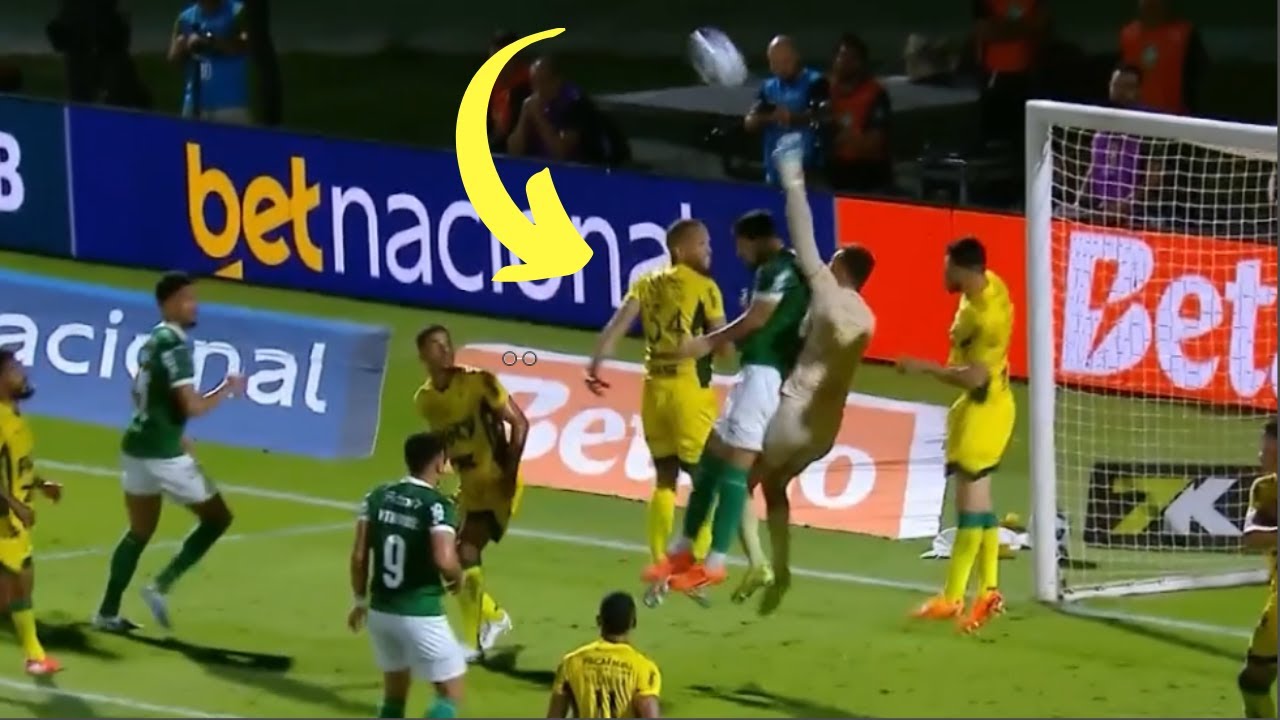 LANCE POLEMICO DO GOL DO PALMEIRAS CONTRA O MIRASSOL
