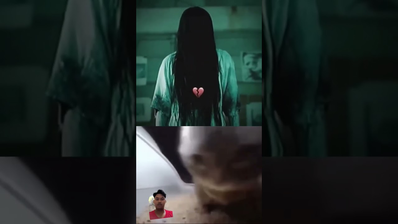 cipi cipi capa capa Rubi Rubi remix #cat #funny #memes #edit #catlover #animation #cute #dance