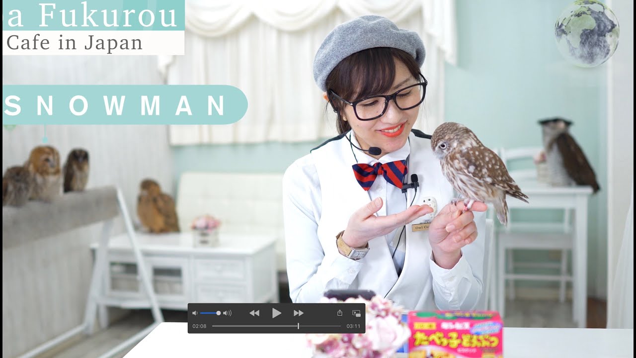 Little Owl🦉Welcome back❗️Mr.YAMASHITA