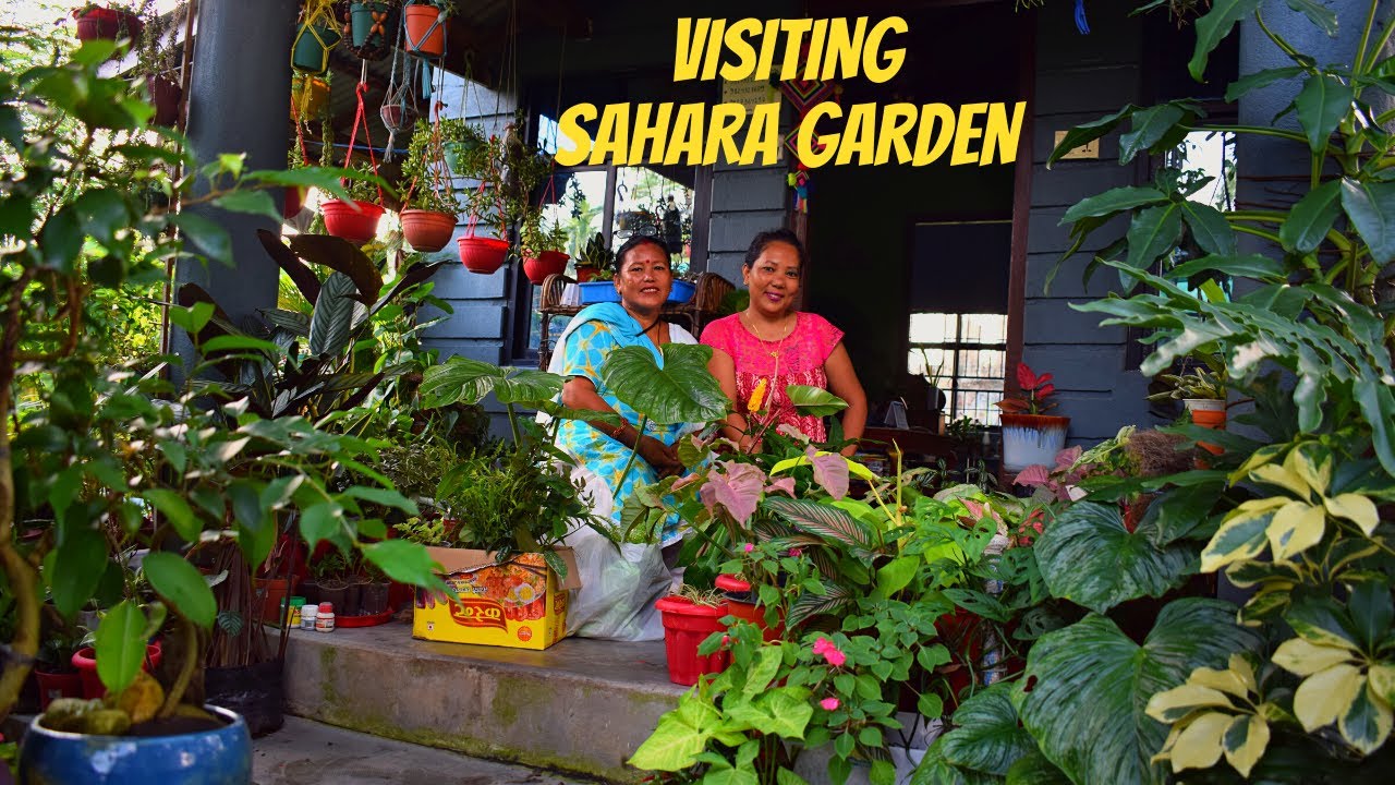 Visiting Sahara Garden in Patri, Morang I Nepal Flower Nursery I Flower Nursery in Nepal