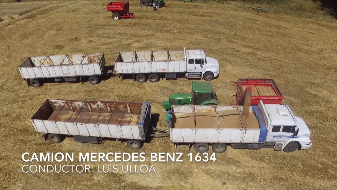 Cosecha de Avena y Trigo. Coipue, Chile 2017// Oats & Wheat Harvest 2017