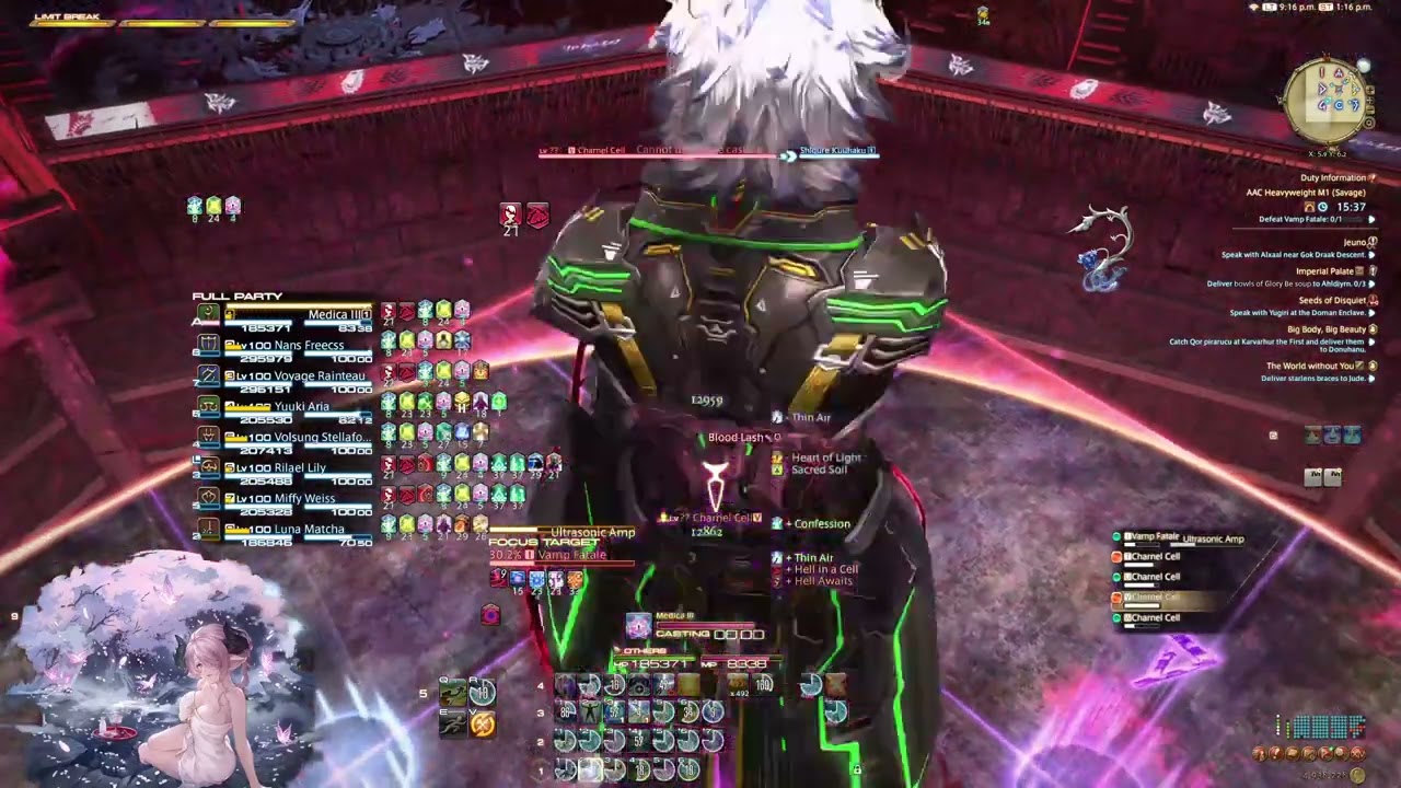 M9S ACARDION SAVAGE HEAVYWEIGHT first clear (FFXIV) WHM POV