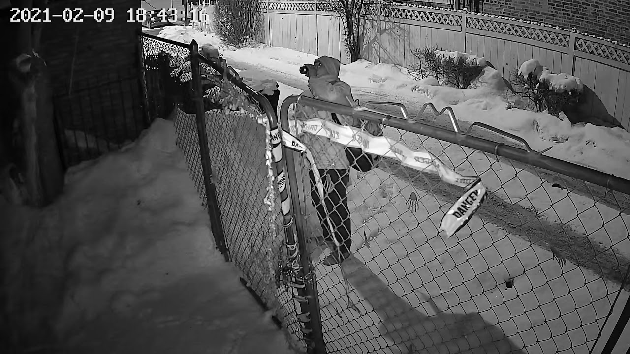 drunk neighbor peeing in my driveway caught on camera