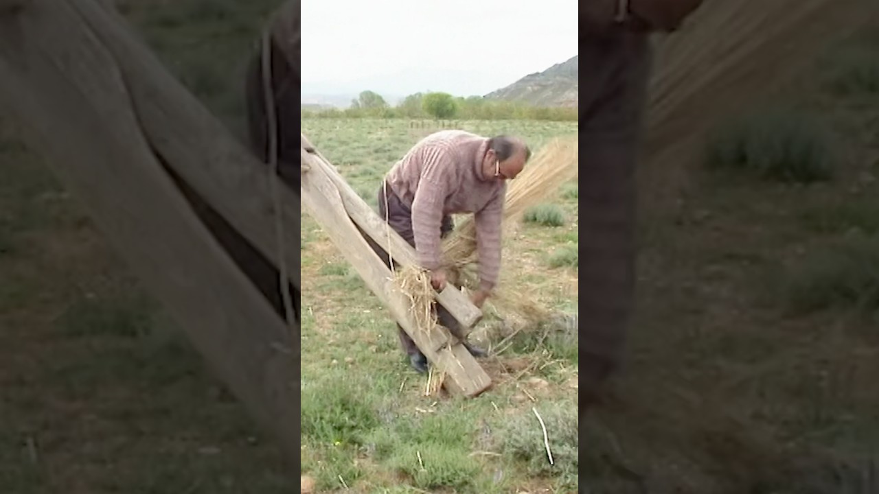 🌾 Rompiendo fibras de C&Aacute;&Ntilde;AMO para crear CUERDAS artesanales