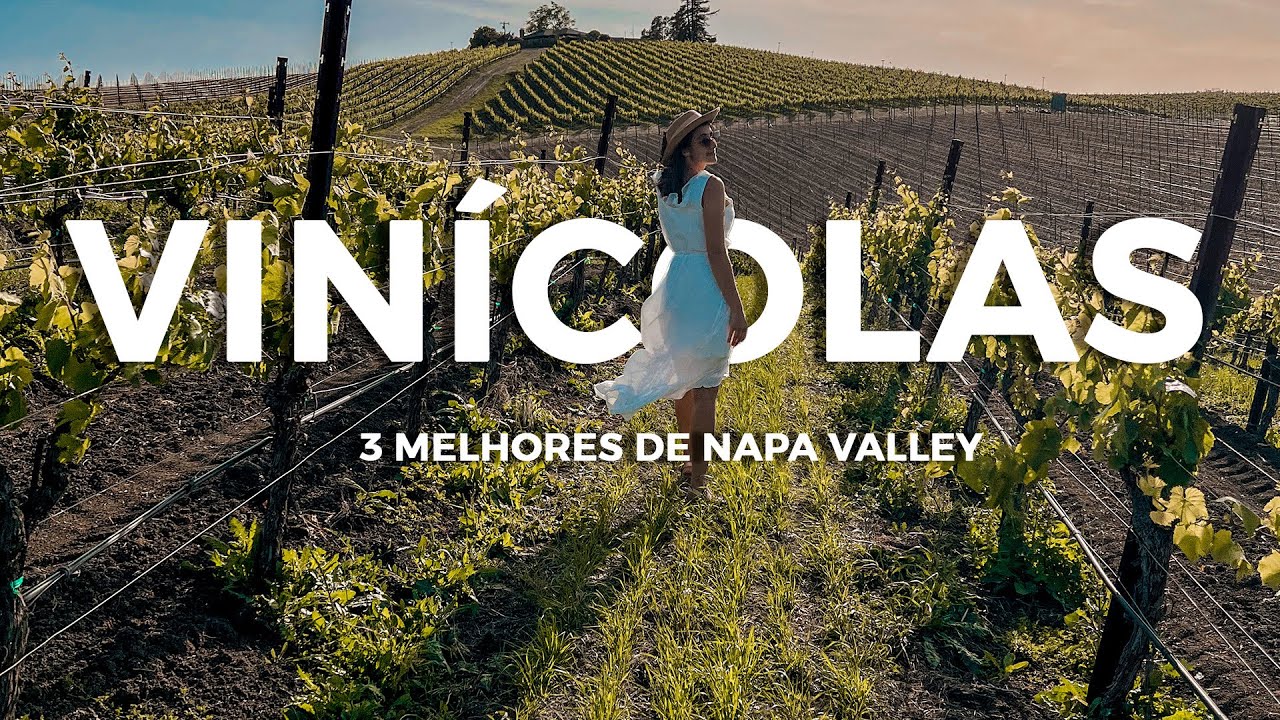 Quais vinícolas de Napa Valley conhecer | 3 imperdíveis com degustação e tour completo!