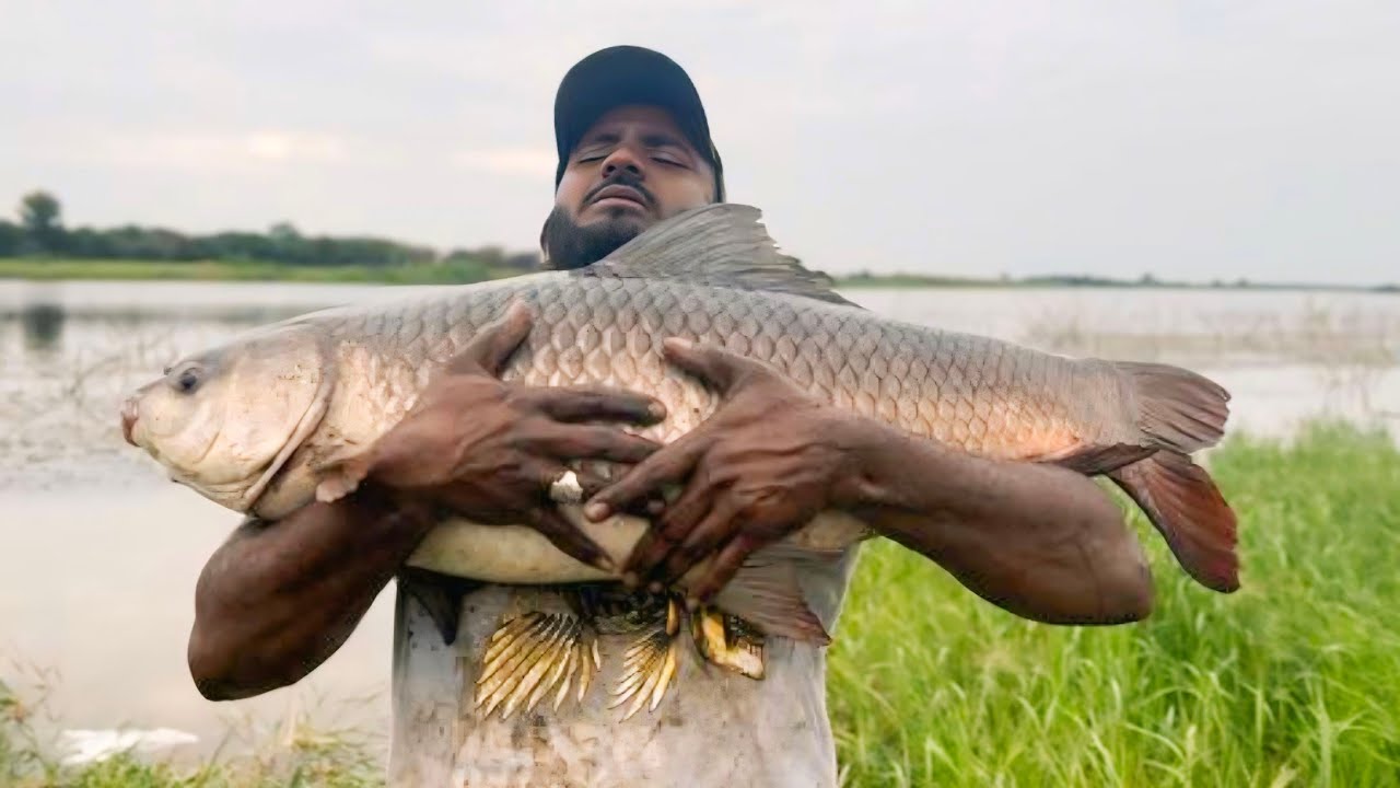 fishing | fishing videos on YouTube | fish catching videos | fishing videos | fish video