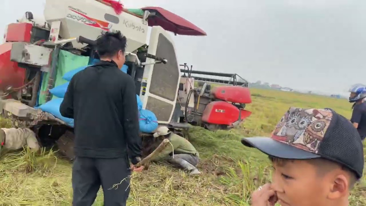 bắt chuột đồng tại nam định