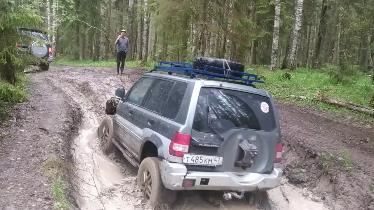 Два пинина в грязи( pinin in the mud)